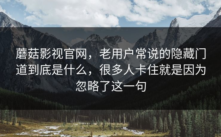 蘑菇影视官网，老用户常说的隐藏门道到底是什么，很多人卡住就是因为忽略了这一句