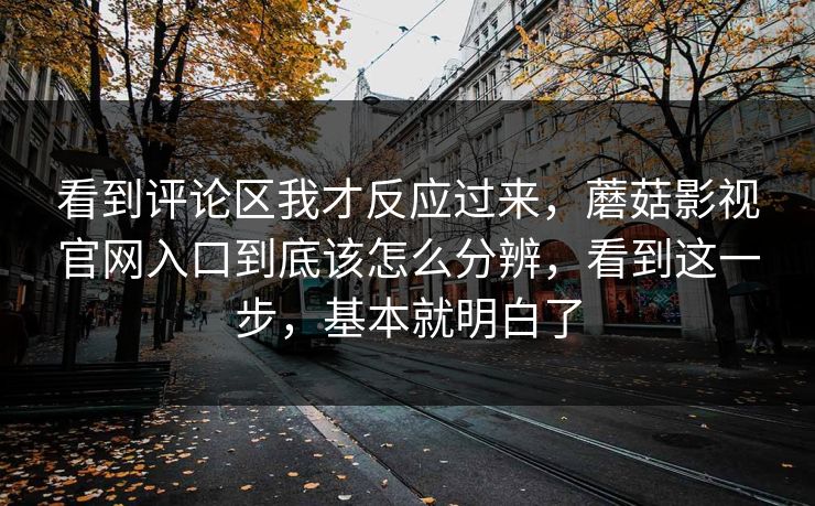 看到评论区我才反应过来，蘑菇影视官网入口到底该怎么分辨，看到这一步，基本就明白了