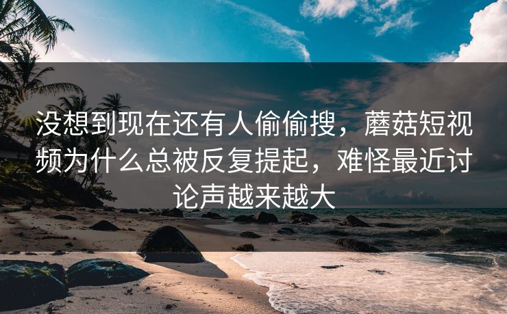 没想到现在还有人偷偷搜，蘑菇短视频为什么总被反复提起，难怪最近讨论声越来越大
