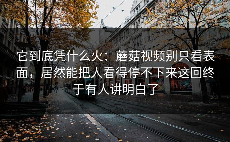 它到底凭什么火：蘑菇视频别只看表面，居然能把人看得停不下来这回终于有人讲明白了