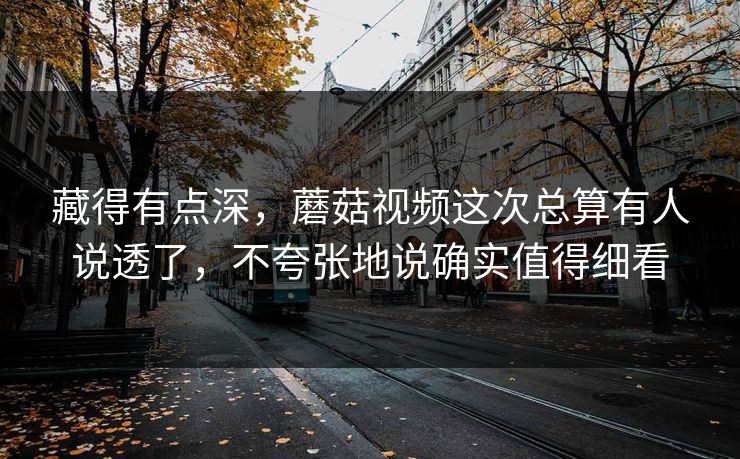 藏得有点深，蘑菇视频这次总算有人说透了，不夸张地说确实值得细看