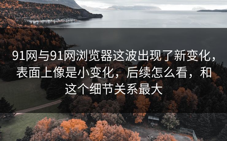 91网与91网浏览器这波出现了新变化，表面上像是小变化，后续怎么看，和这个细节关系最大