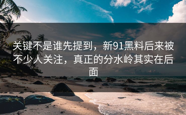 关键不是谁先提到，新91黑料后来被不少人关注，真正的分水岭其实在后面