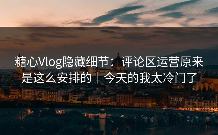 糖心Vlog隐藏细节：评论区运营原来是这么安排的｜今天的我太冷门了
