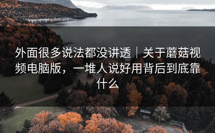 外面很多说法都没讲透｜关于蘑菇视频电脑版，一堆人说好用背后到底靠什么