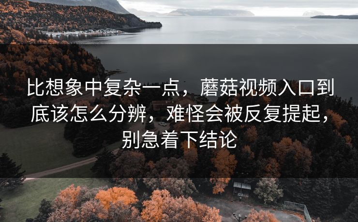 比想象中复杂一点，蘑菇视频入口到底该怎么分辨，难怪会被反复提起，别急着下结论