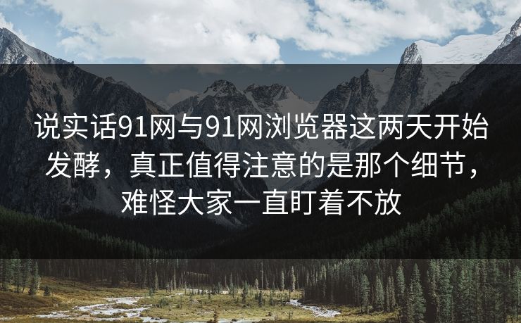 说实话91网与91网浏览器这两天开始发酵，真正值得注意的是那个细节，难怪大家一直盯着不放