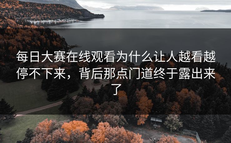 每日大赛在线观看为什么让人越看越停不下来，背后那点门道终于露出来了