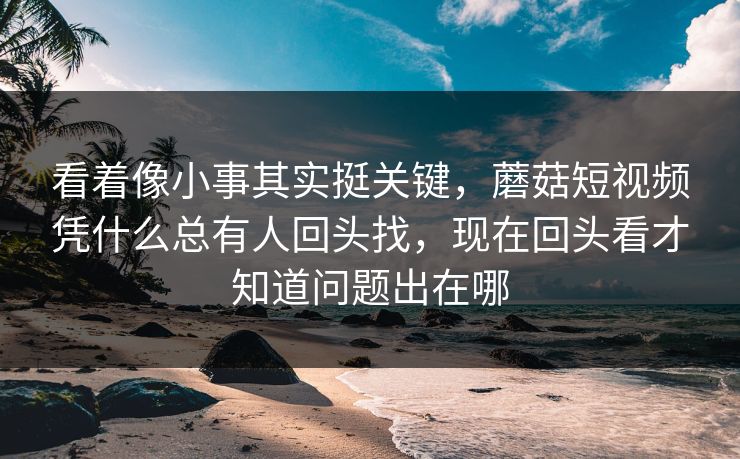 看着像小事其实挺关键，蘑菇短视频凭什么总有人回头找，现在回头看才知道问题出在哪