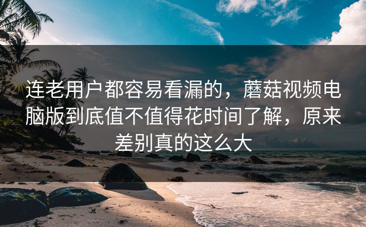 连老用户都容易看漏的，蘑菇视频电脑版到底值不值得花时间了解，原来差别真的这么大