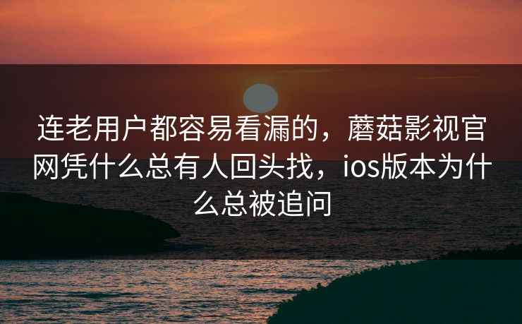 连老用户都容易看漏的，蘑菇影视官网凭什么总有人回头找，ios版本为什么总被追问