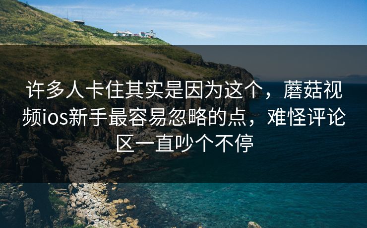 许多人卡住其实是因为这个，蘑菇视频ios新手最容易忽略的点，难怪评论区一直吵个不停