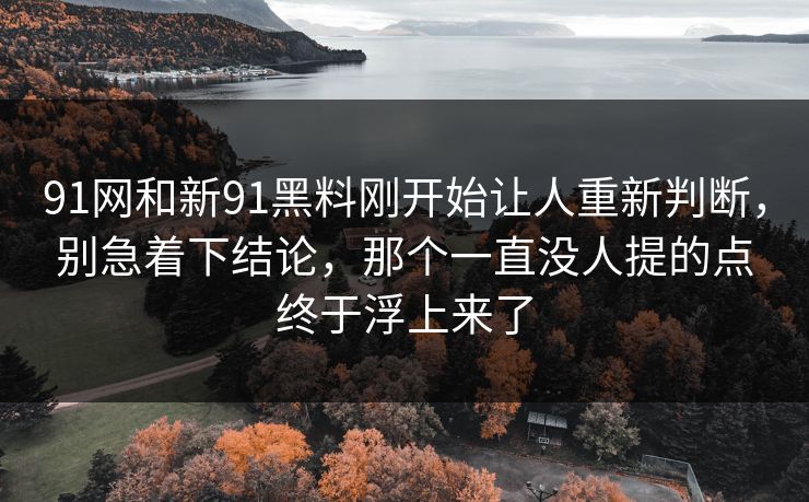 91网和新91黑料刚开始让人重新判断，别急着下结论，那个一直没人提的点终于浮上来了
