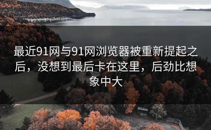 最近91网与91网浏览器被重新提起之后，没想到最后卡在这里，后劲比想象中大