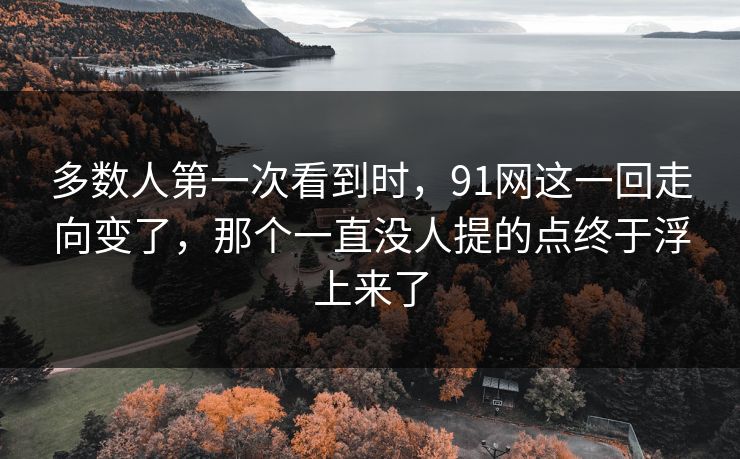 多数人第一次看到时，91网这一回走向变了，那个一直没人提的点终于浮上来了