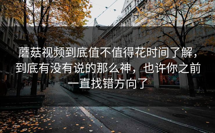 蘑菇视频到底值不值得花时间了解，到底有没有说的那么神，也许你之前一直找错方向了