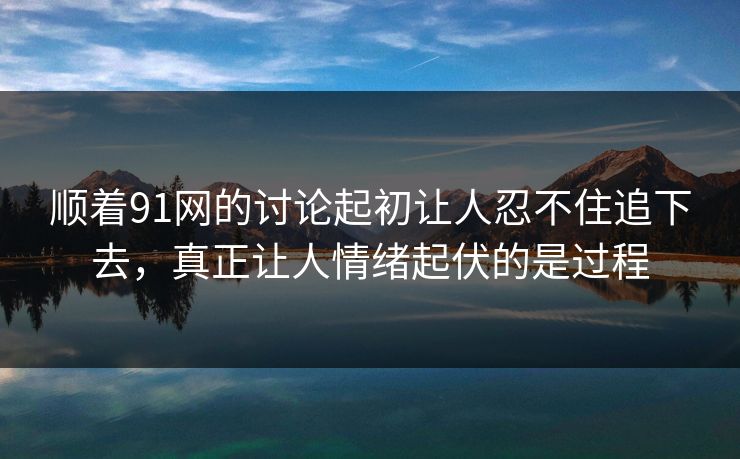 顺着91网的讨论起初让人忍不住追下去，真正让人情绪起伏的是过程